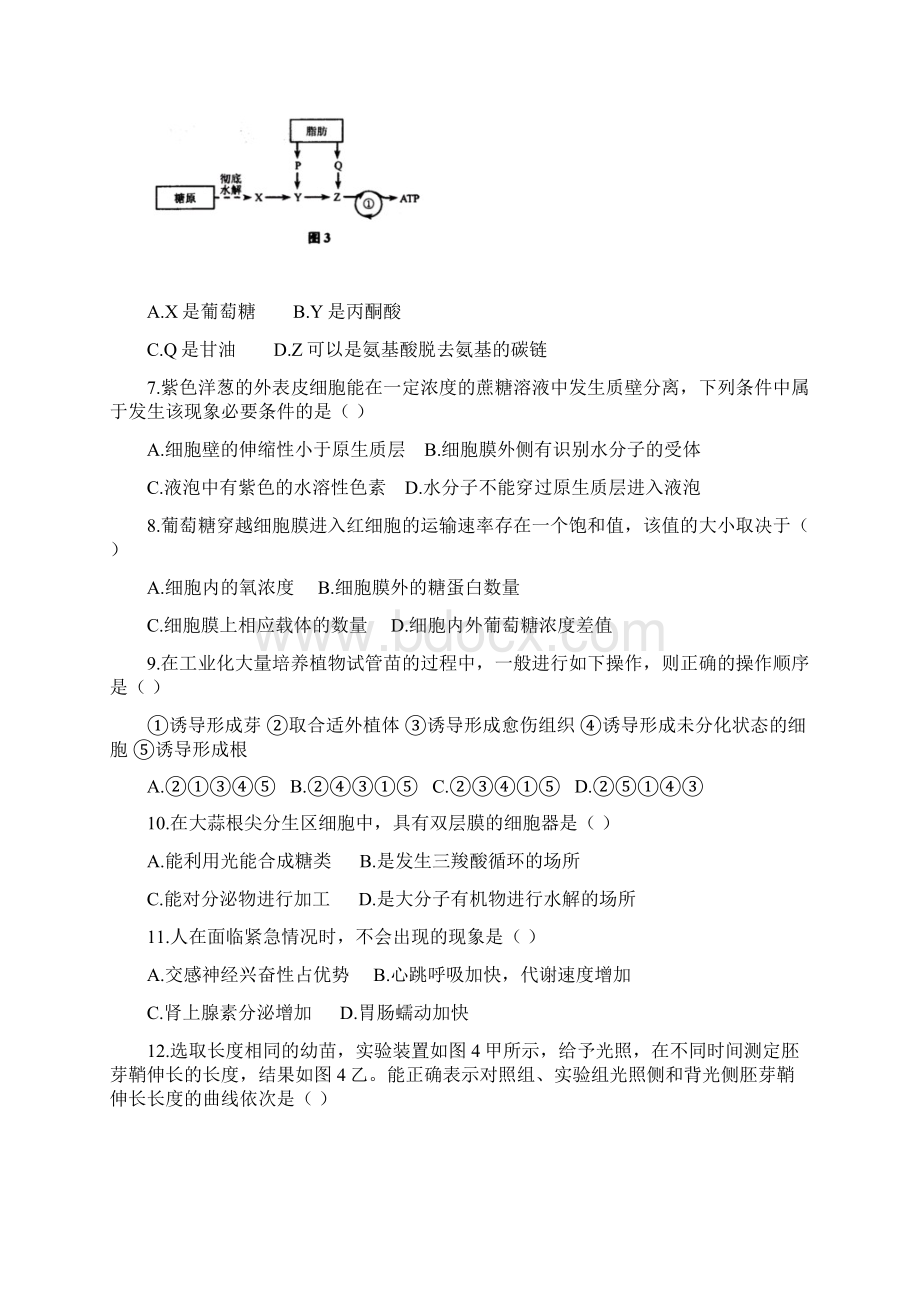 高考生物上海卷精校文+图+答案.docx_第2页