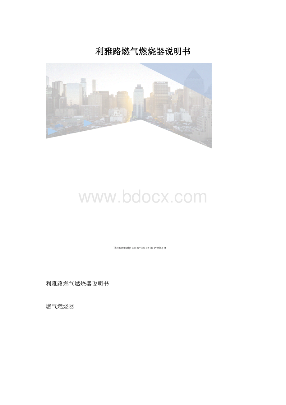 利雅路燃气燃烧器说明书Word格式.docx