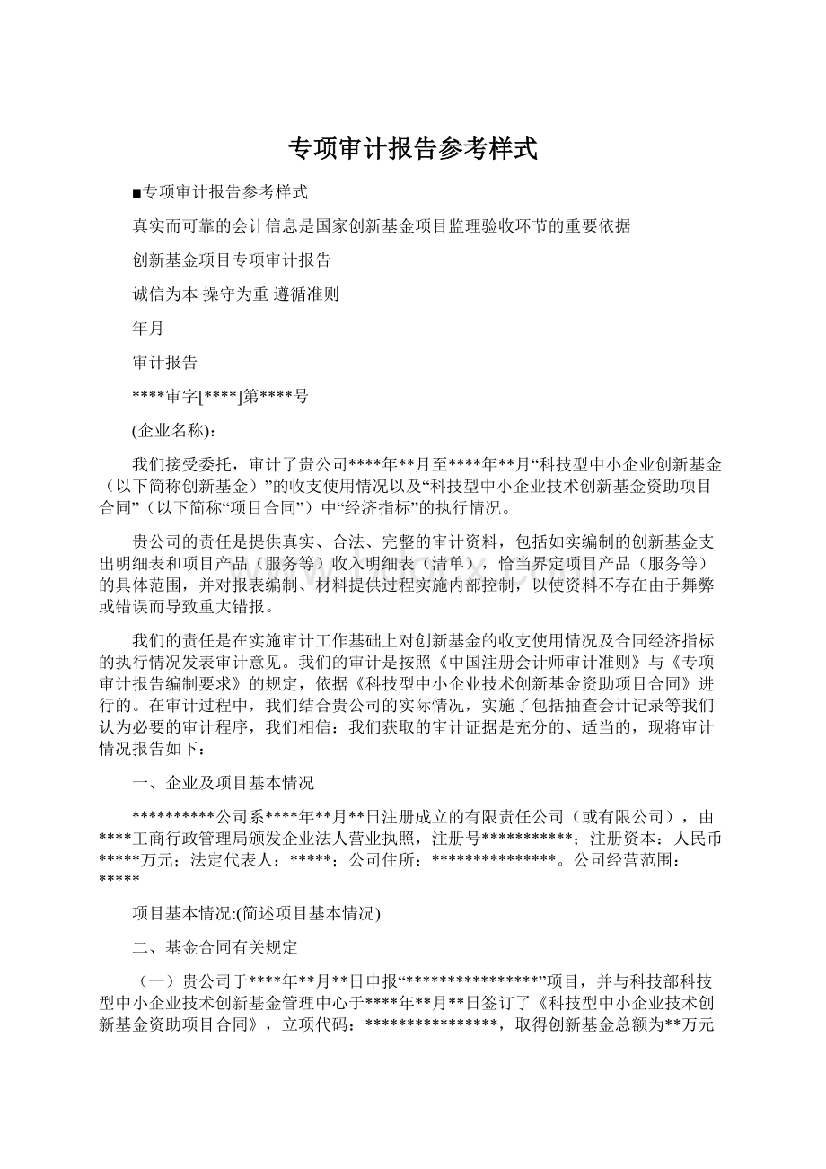 专项审计报告参考样式Word格式.docx