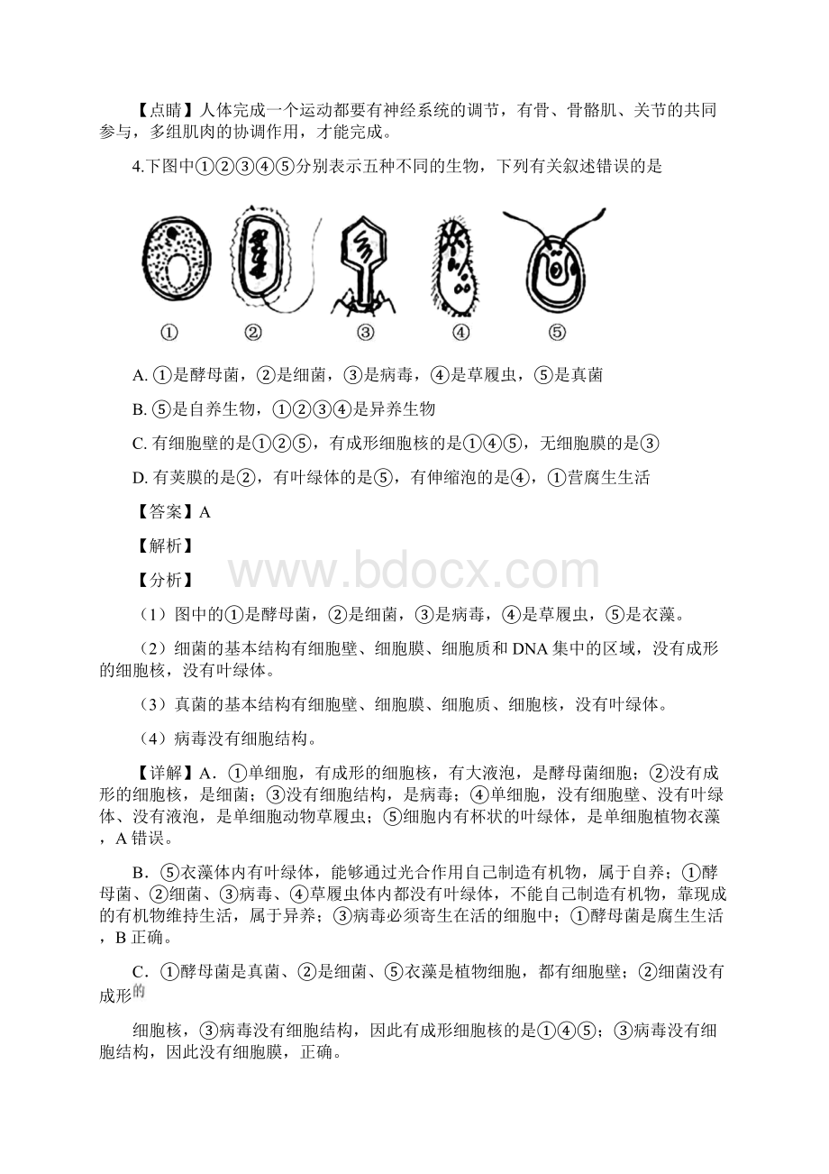 湖北省黄冈市麻城市学年八年级上学期期末生物试题精品解析版.docx_第3页