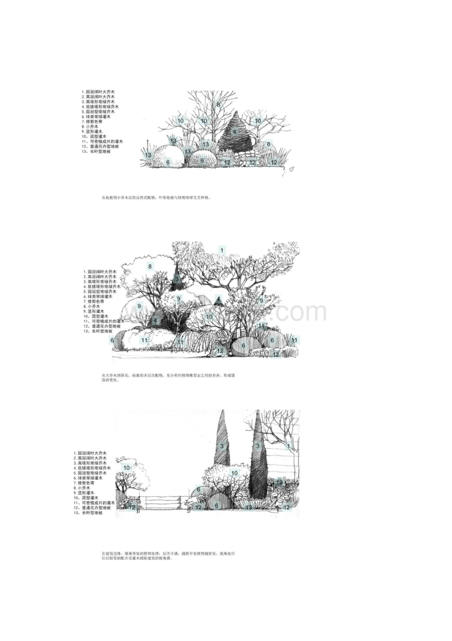 典型植物组团的种植貌似龙湖文档格式.docx_第2页