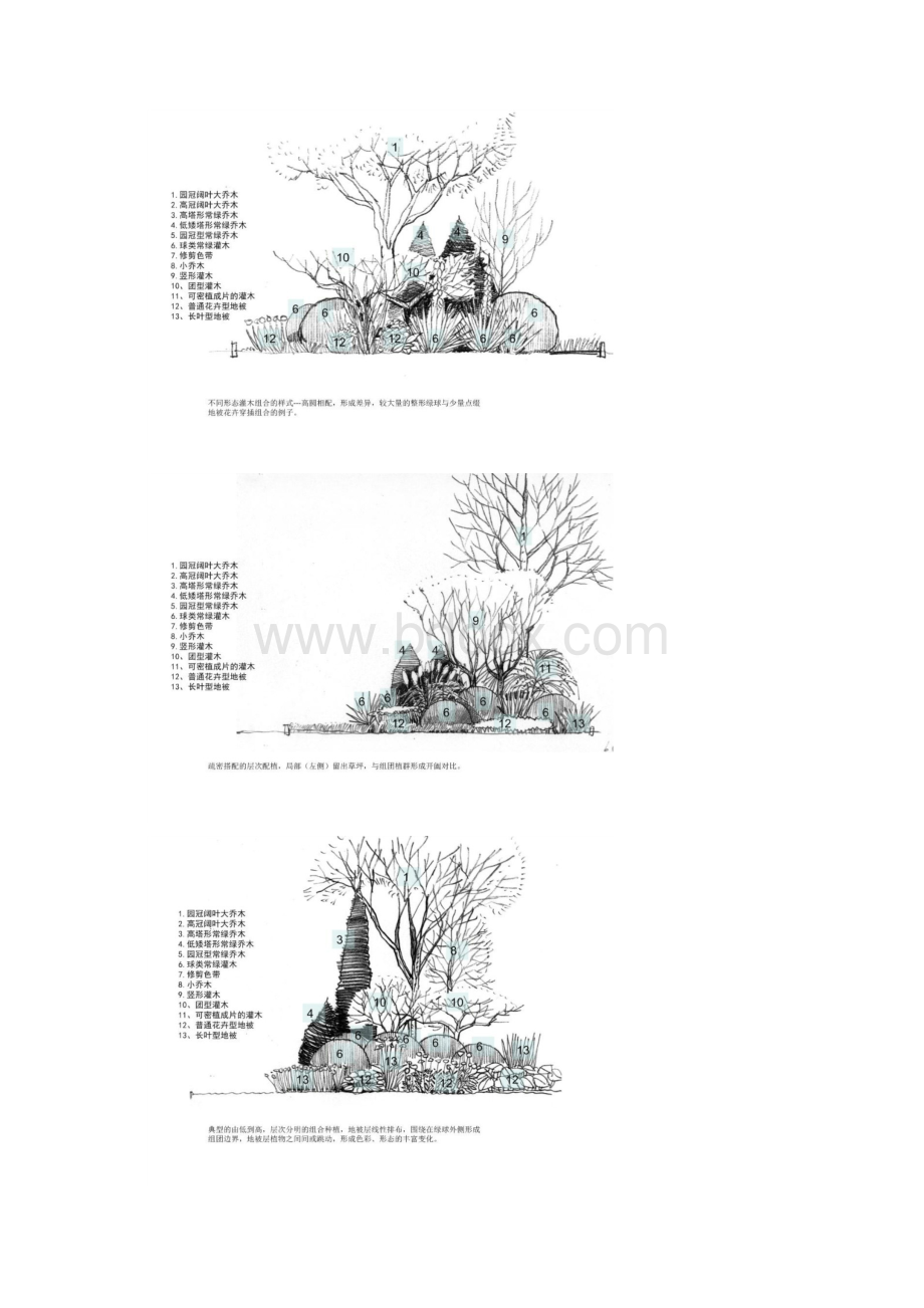 典型植物组团的种植貌似龙湖文档格式.docx_第3页