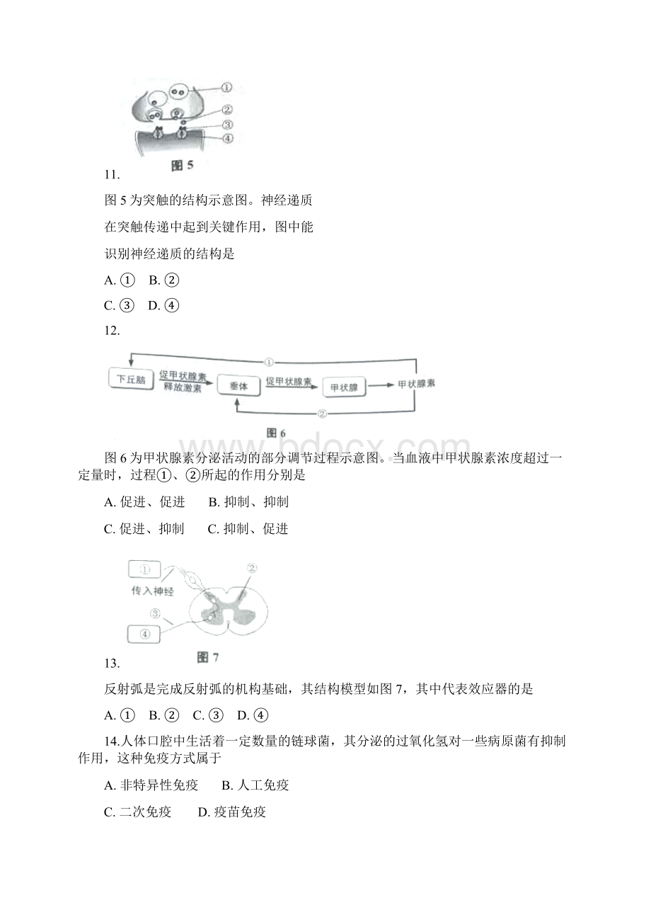 上海高中生物合格考考卷.docx_第3页
