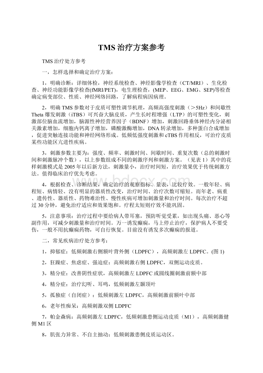 TMS治疗方案参考Word格式文档下载.docx