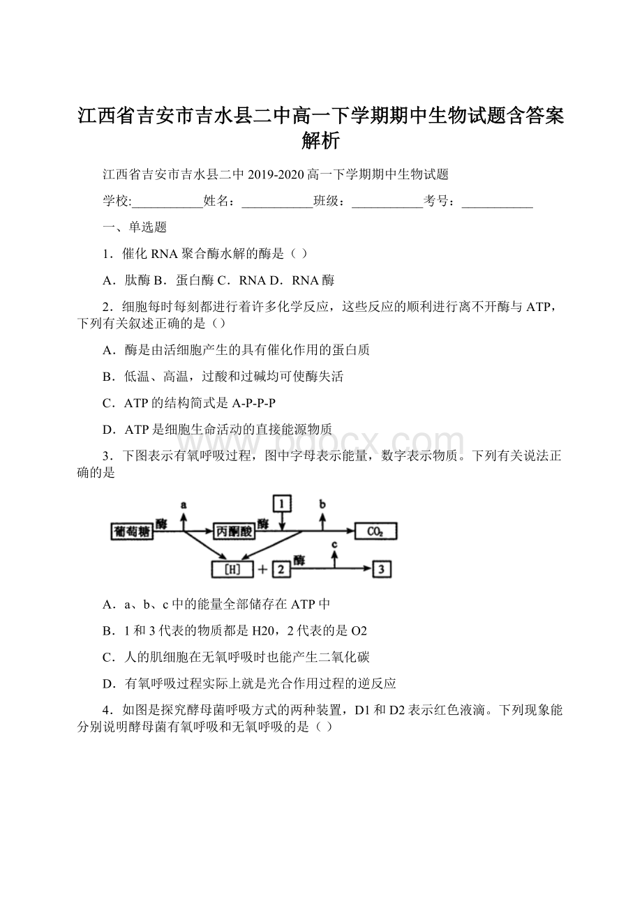 江西省吉安市吉水县二中高一下学期期中生物试题含答案解析.docx_第1页