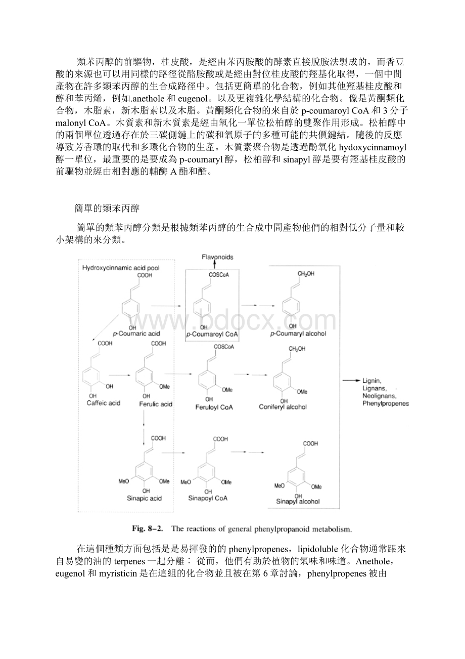 类苯基丙烷Phenylpropanoids.docx_第2页