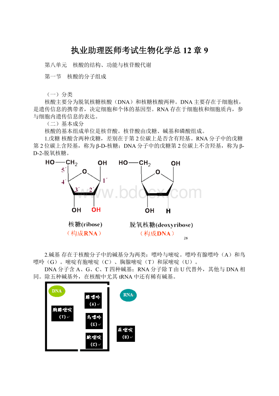 执业助理医师考试生物化学总12章 9Word文件下载.docx_第1页