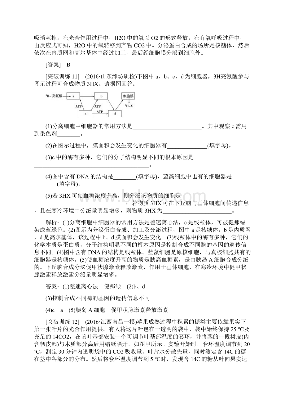 高考生物总复习第6单元遗传的物质基础单元能力提升.docx_第3页