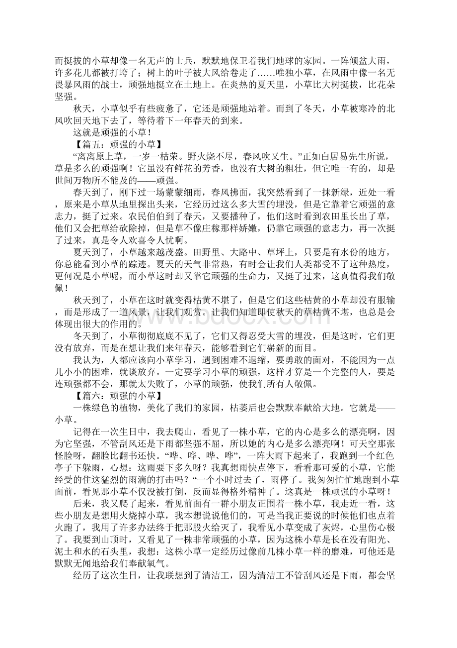 顽强的小草作文.docx_第2页