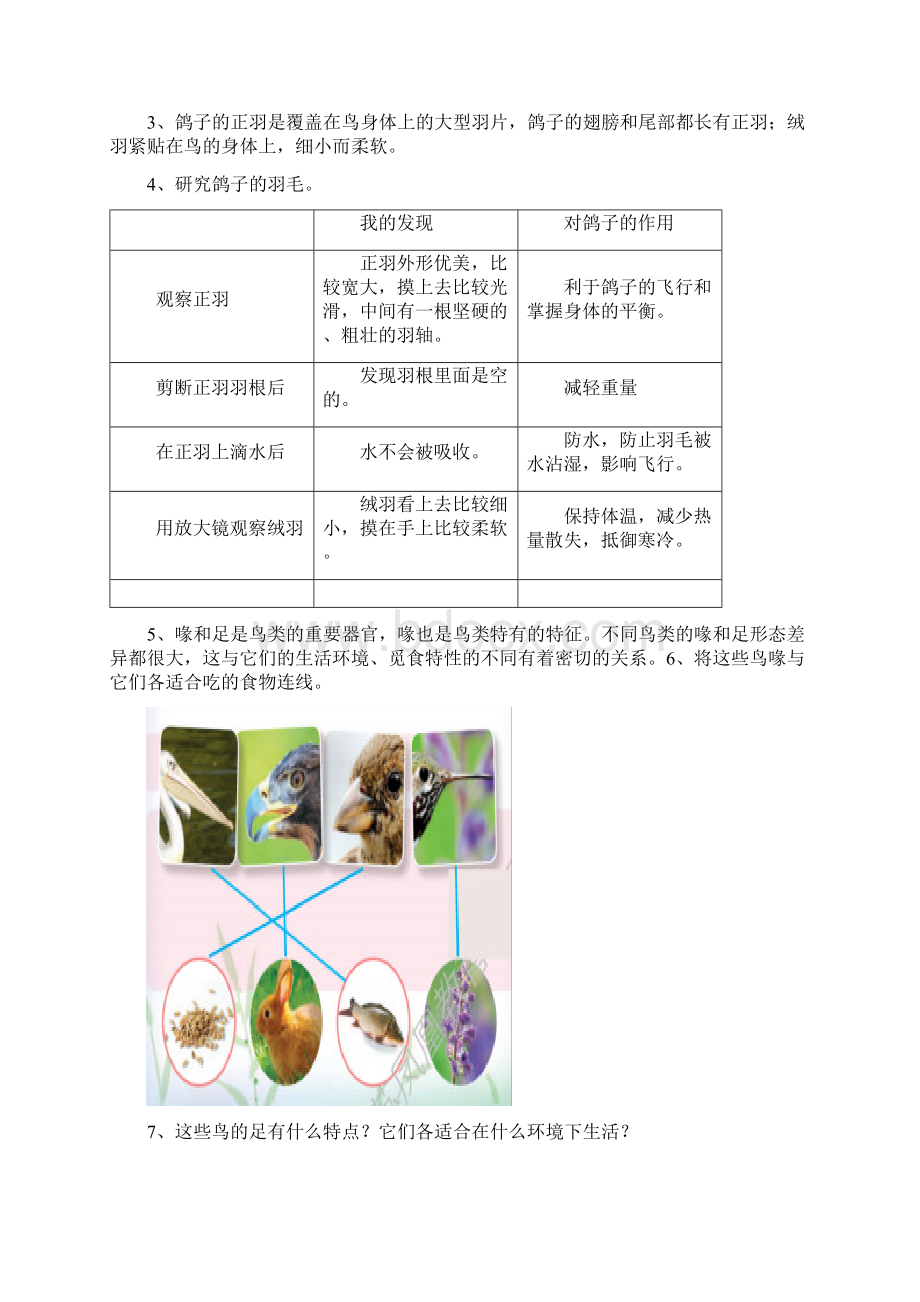 新苏教版四年级上册科学全册知识点整理汇总.docx_第3页