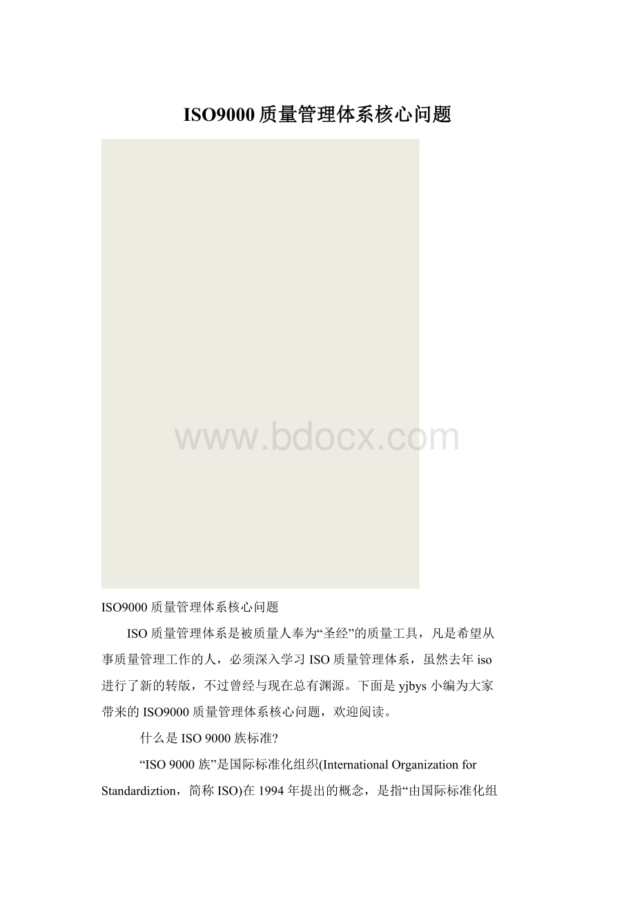 ISO9000质量管理体系核心问题.docx