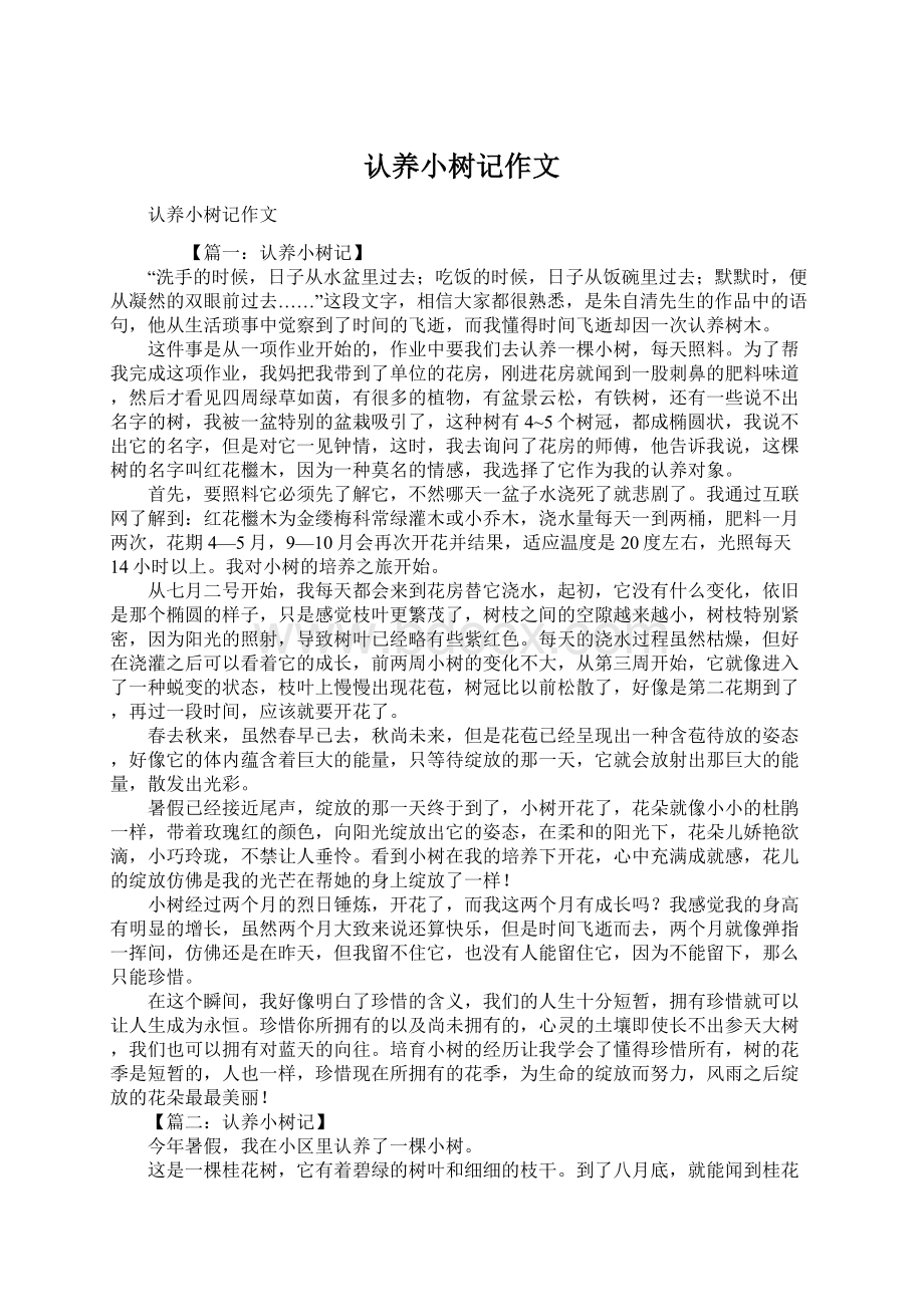 认养小树记作文Word文档格式.docx