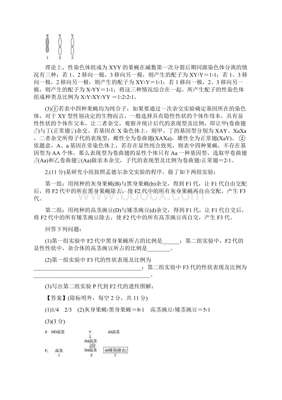 教师版山东省济南市暑假新高三生物一轮练习题《 遗传的基本定律》综合题训练Word下载.docx_第2页