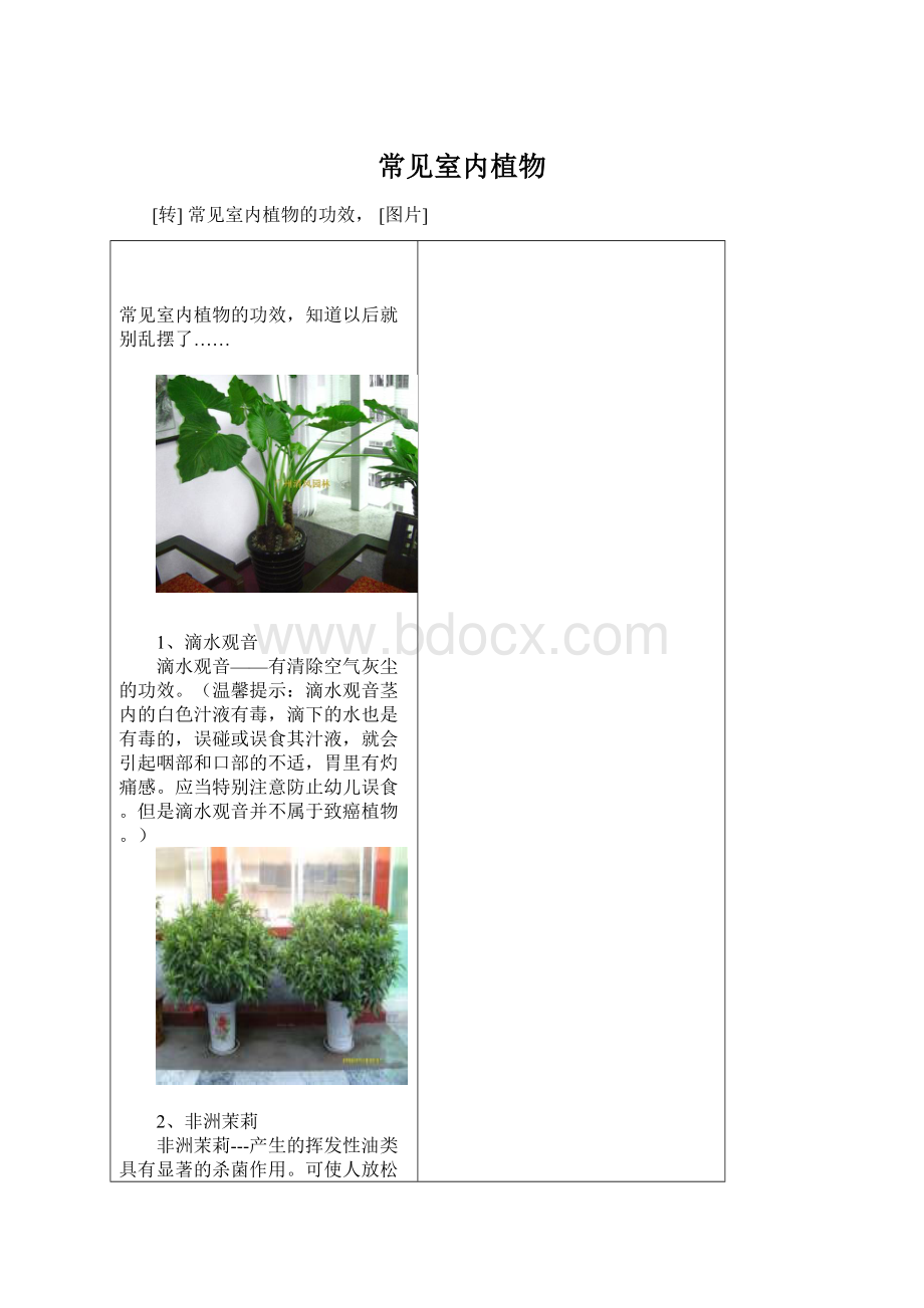 常见室内植物.docx_第1页