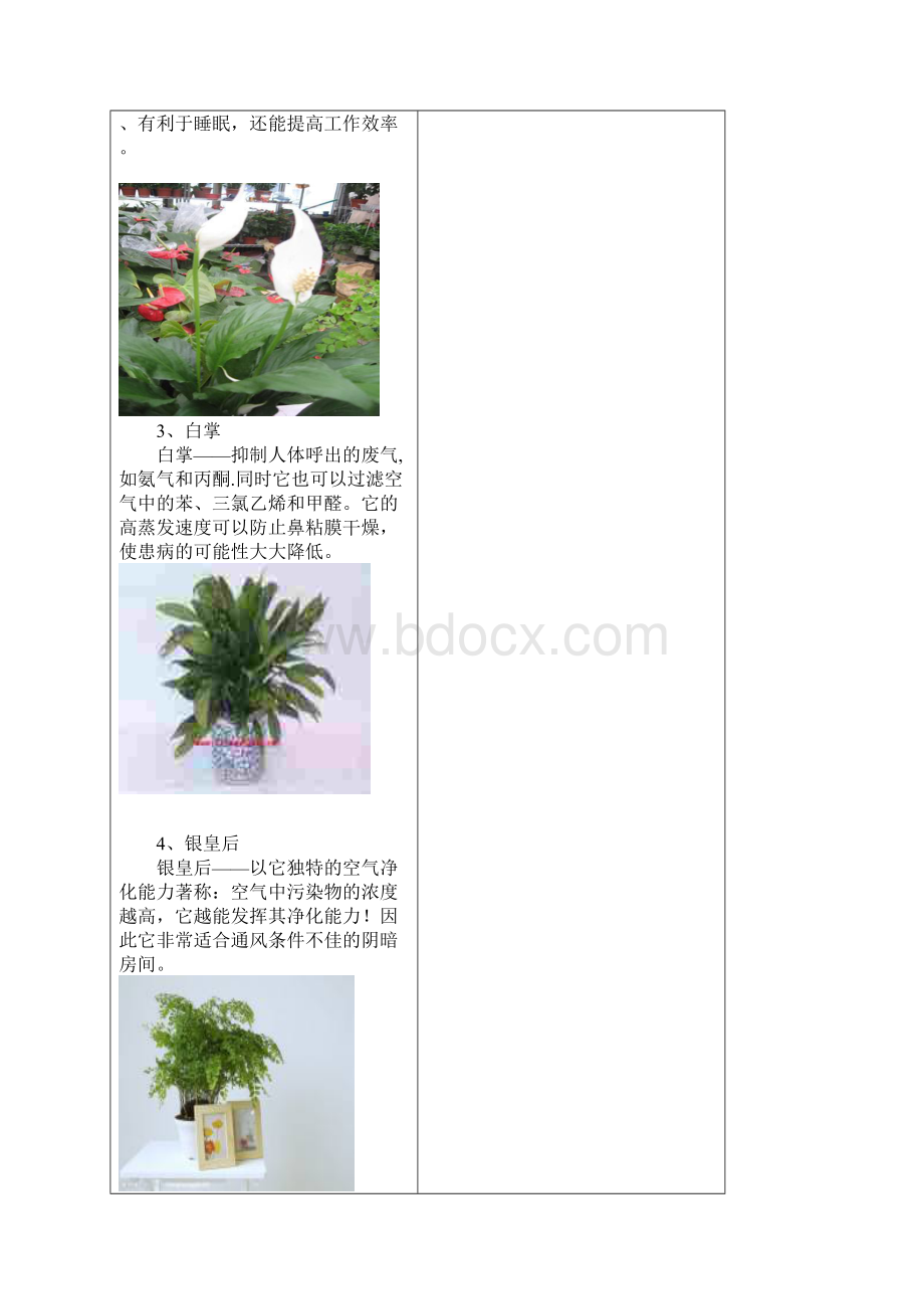 常见室内植物Word格式文档下载.docx_第2页