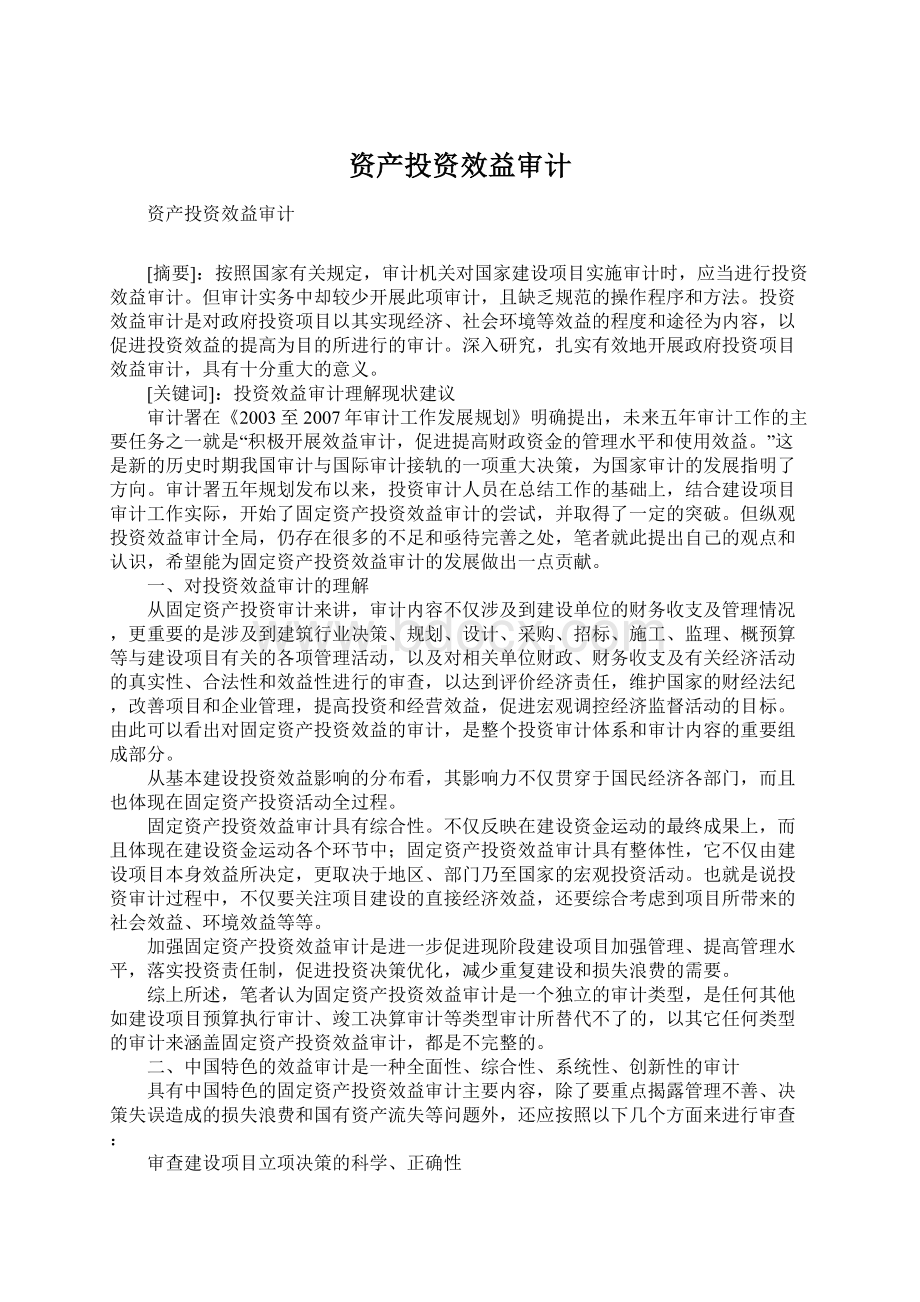 资产投资效益审计Word文档格式.docx