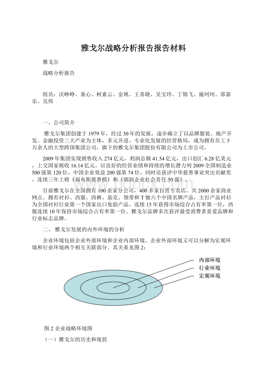 雅戈尔战略分析报告报告材料.docx