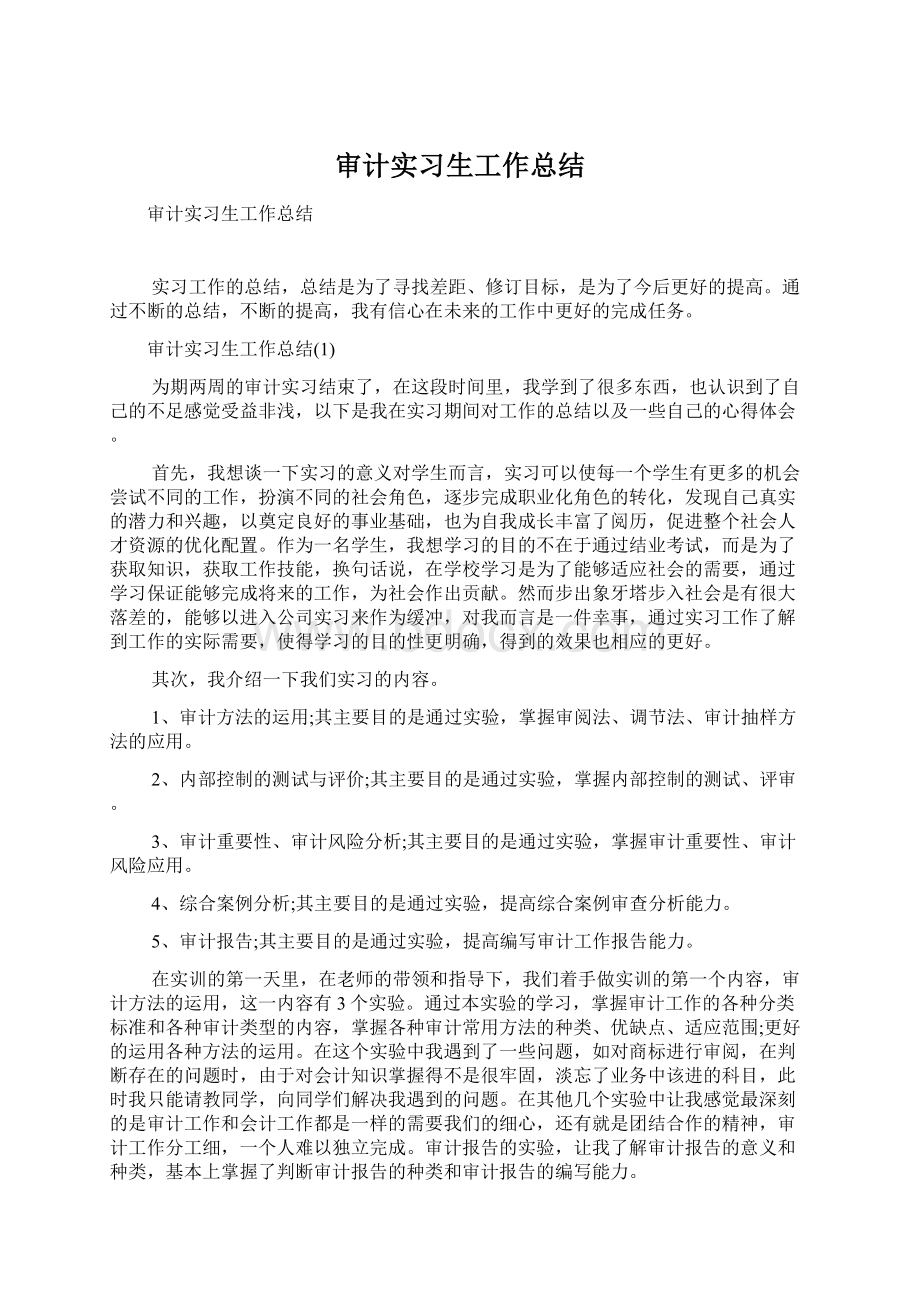 审计实习生工作总结Word下载.docx