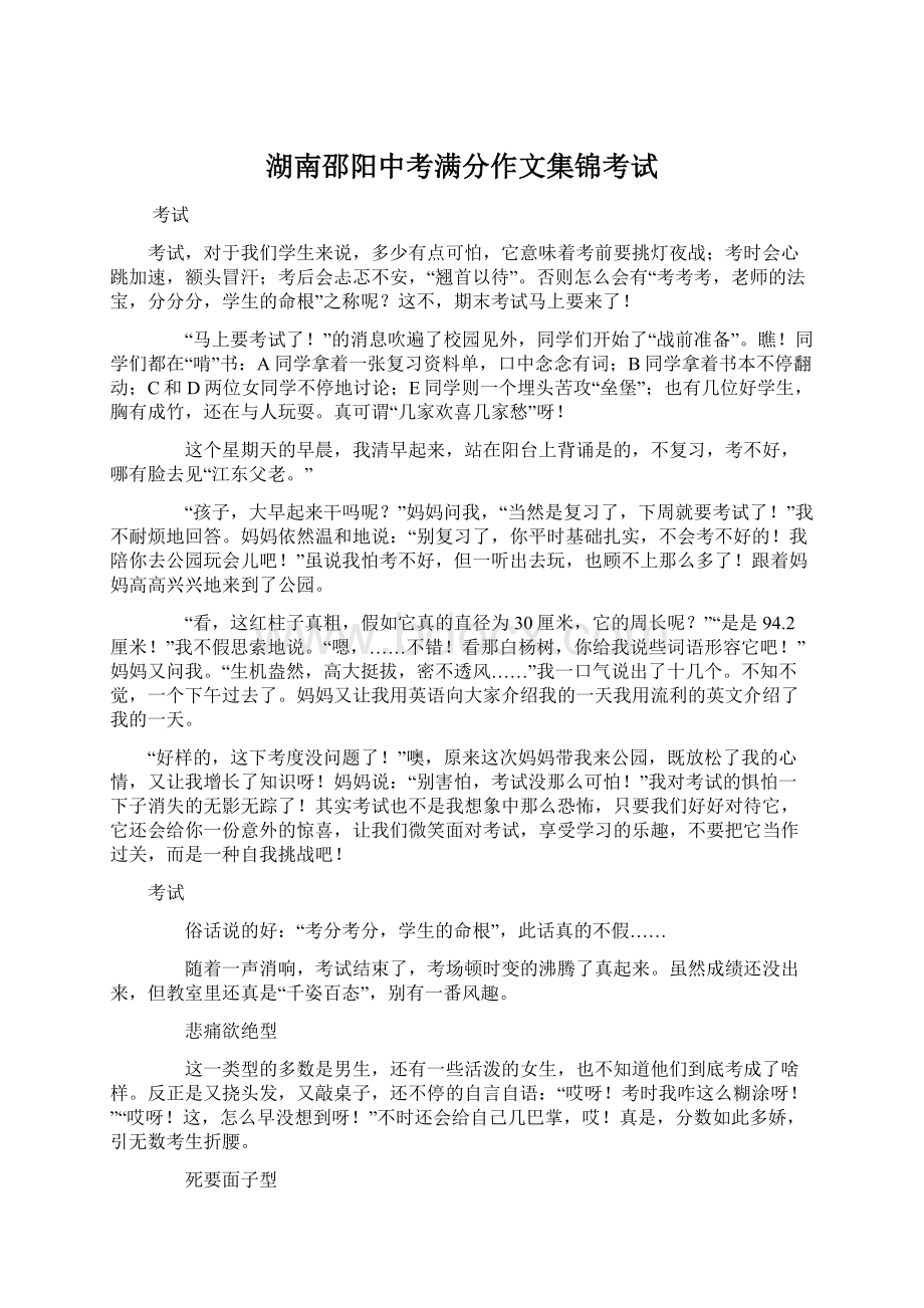 湖南邵阳中考满分作文集锦考试Word格式.docx