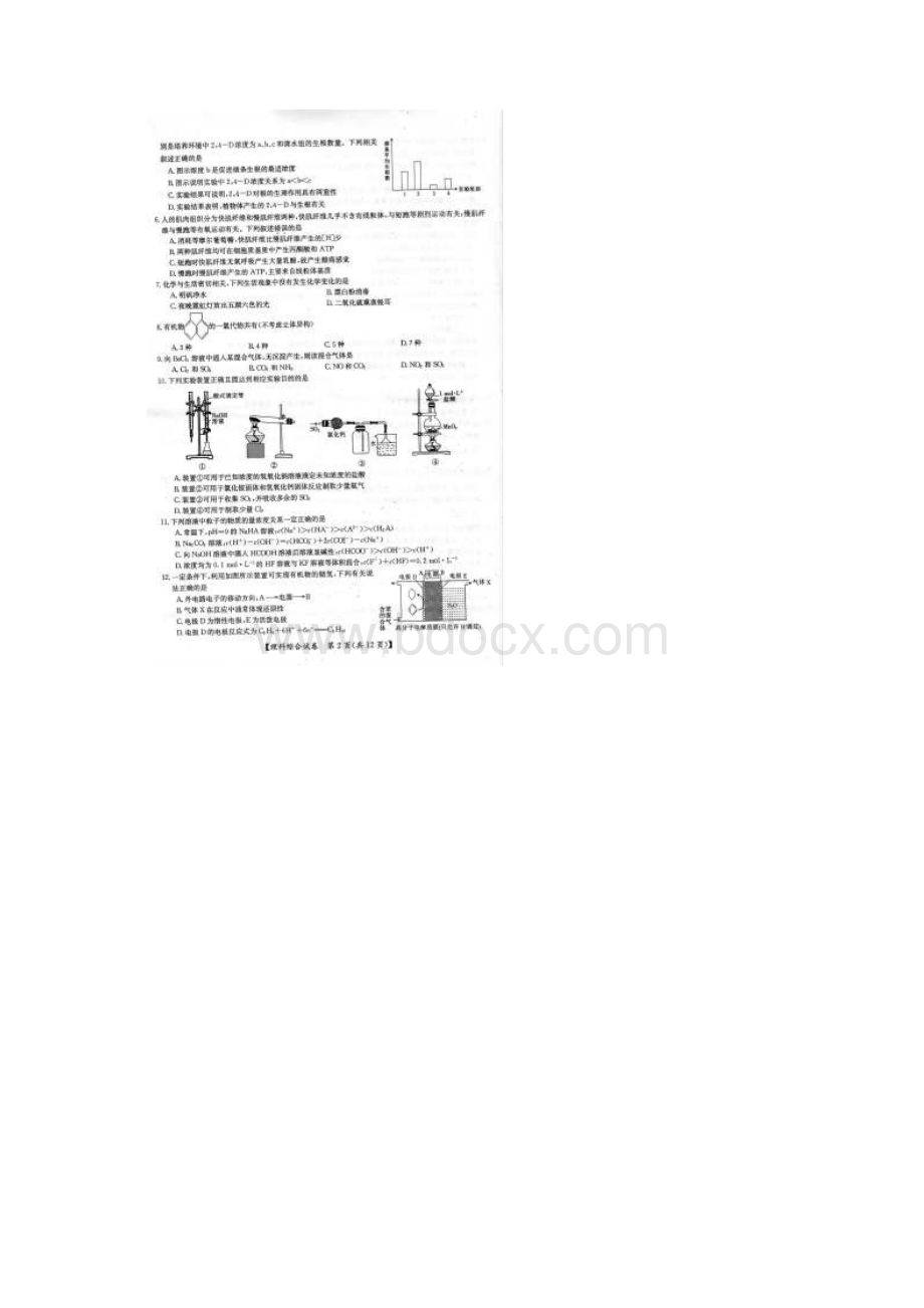 广西桂林市届高三第一次适应性检测理综试题扫描版.docx_第2页