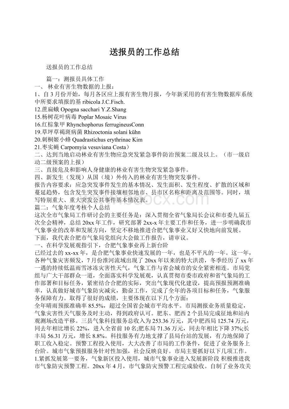 送报员的工作总结Word文件下载.docx