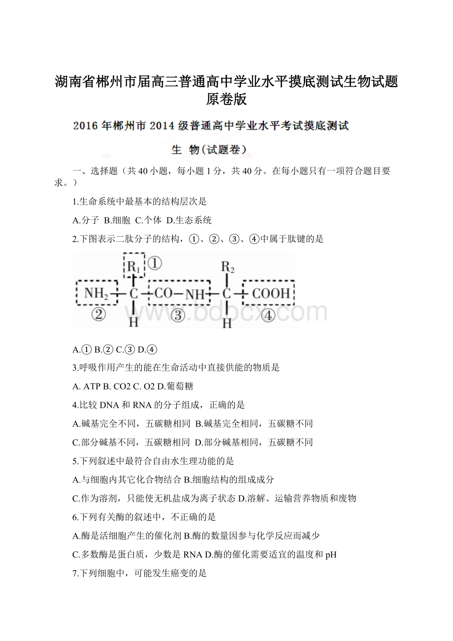 湖南省郴州市届高三普通高中学业水平摸底测试生物试题原卷版文档格式.docx_第1页