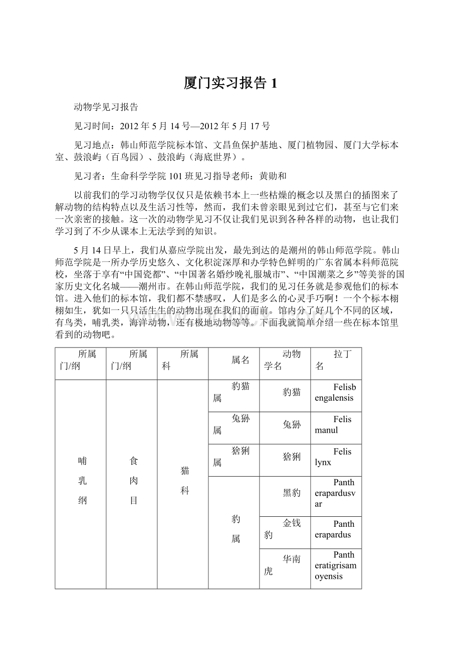 厦门实习报告1Word文档格式.docx_第1页