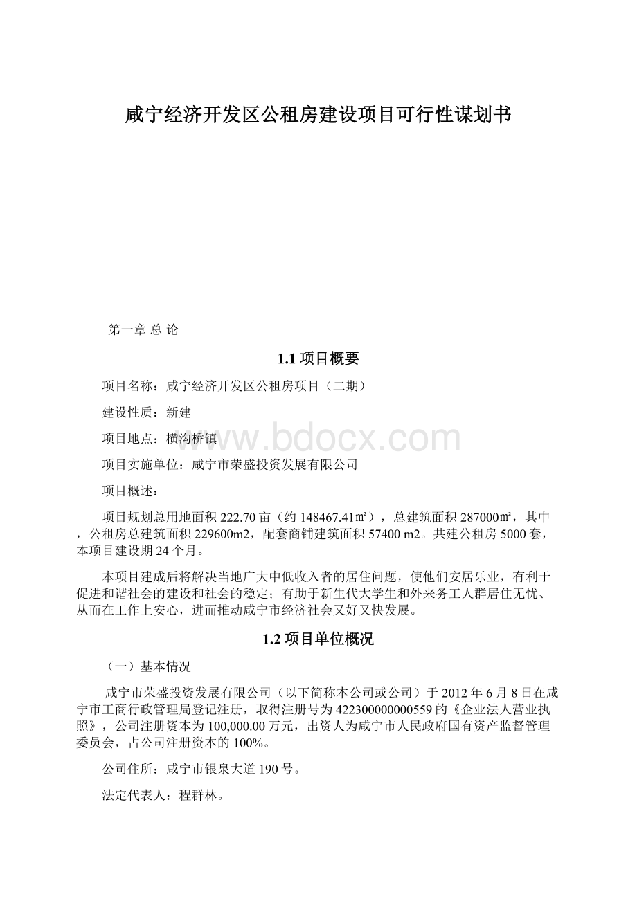 咸宁经济开发区公租房建设项目可行性谋划书.docx