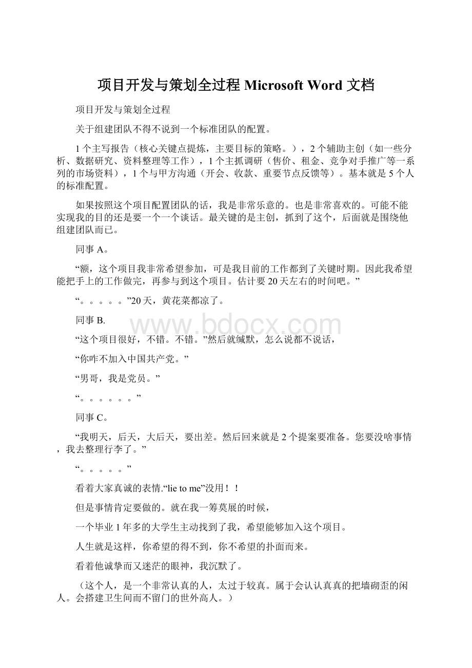 项目开发与策划全过程 Microsoft Word 文档.docx