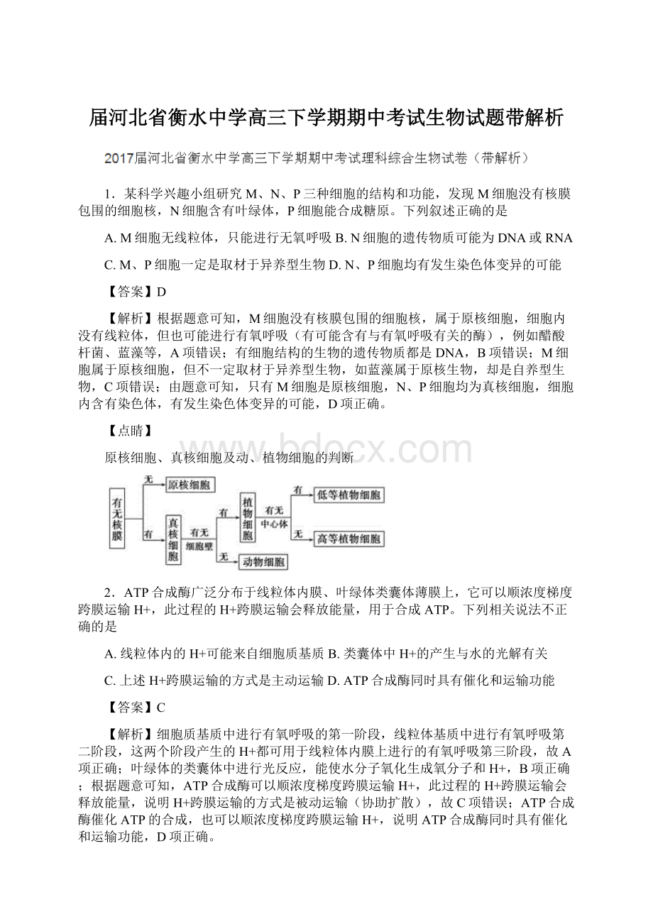 届河北省衡水中学高三下学期期中考试生物试题带解析Word格式.docx