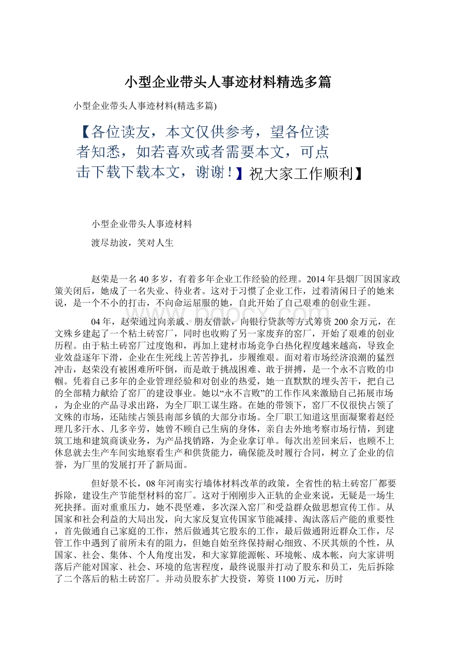 小型企业带头人事迹材料精选多篇.docx