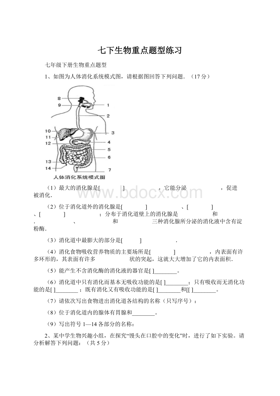 七下生物重点题型练习Word文档格式.docx