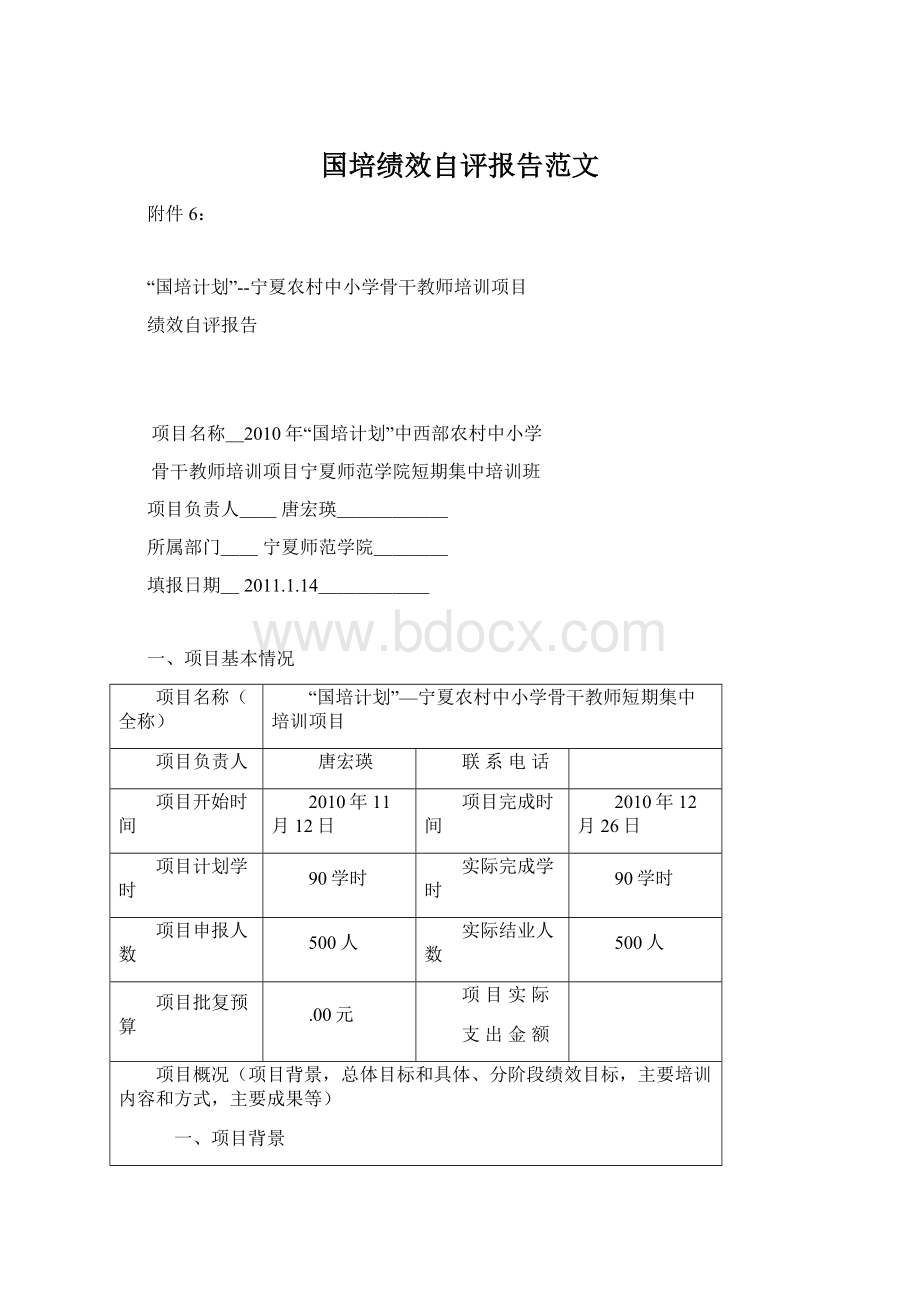 国培绩效自评报告范文文档格式.docx_第1页