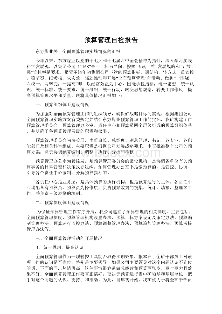 预算管理自检报告Word文档下载推荐.docx