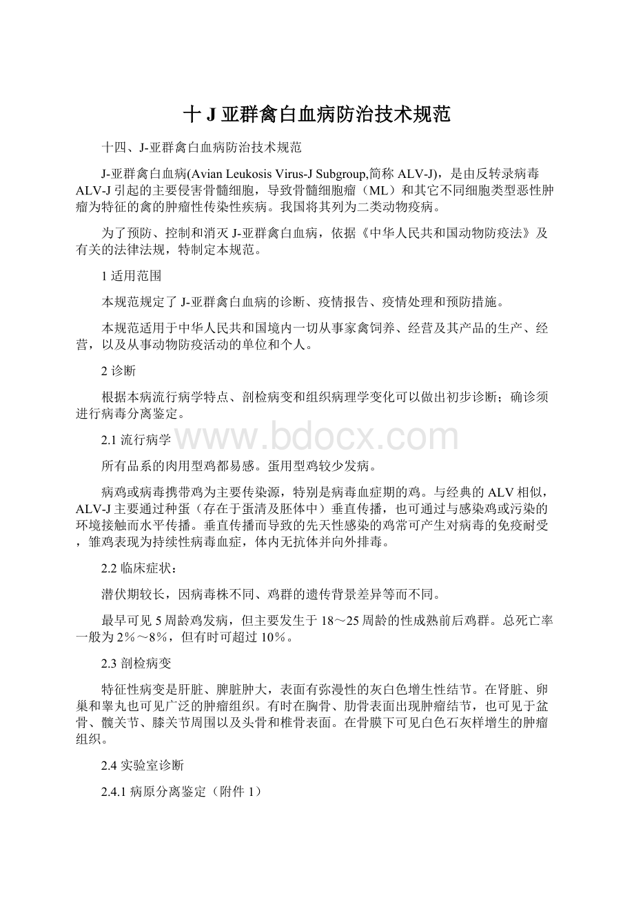 十J亚群禽白血病防治技术规范Word格式文档下载.docx_第1页