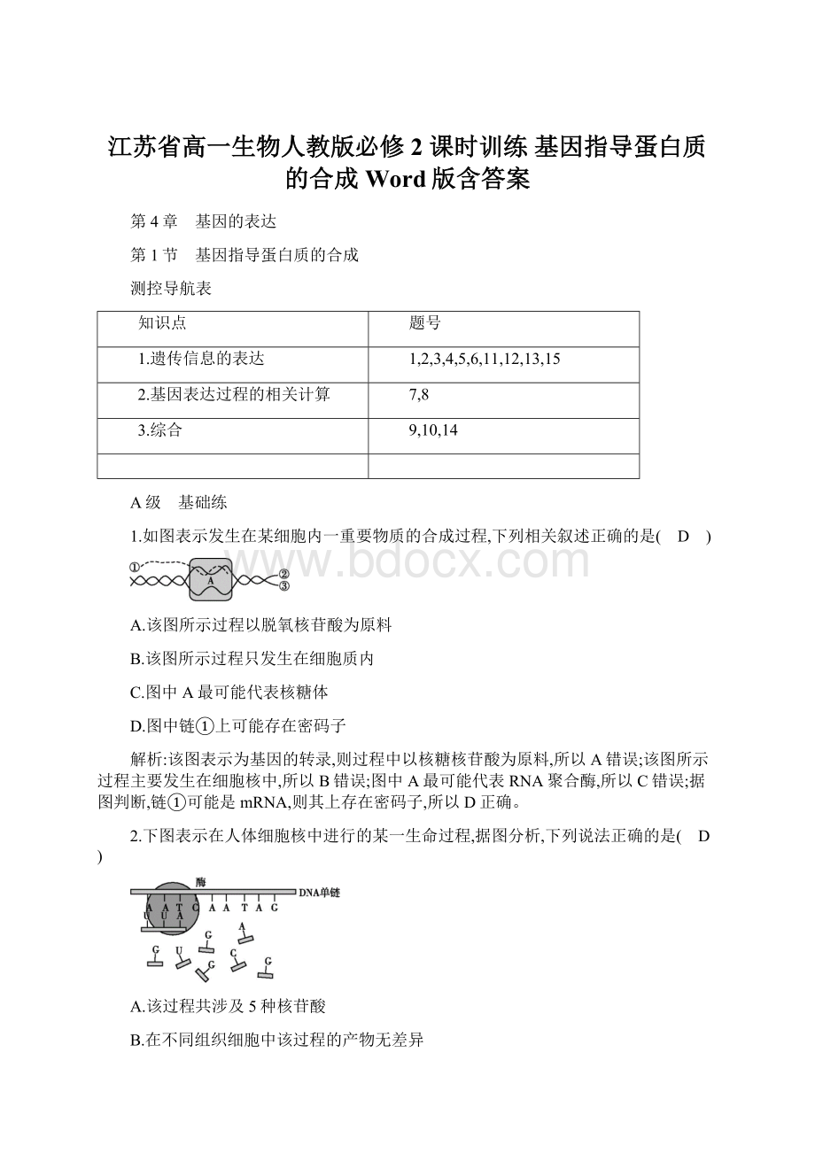 江苏省高一生物人教版必修2 课时训练 基因指导蛋白质的合成 Word版含答案.docx_第1页