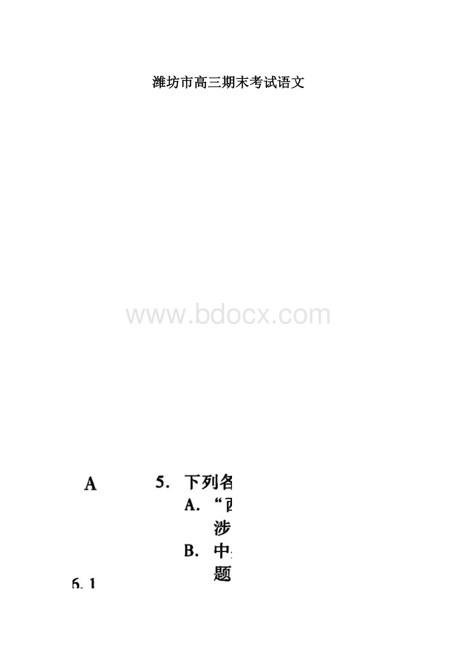 潍坊市高三期末考试语文文档格式.docx