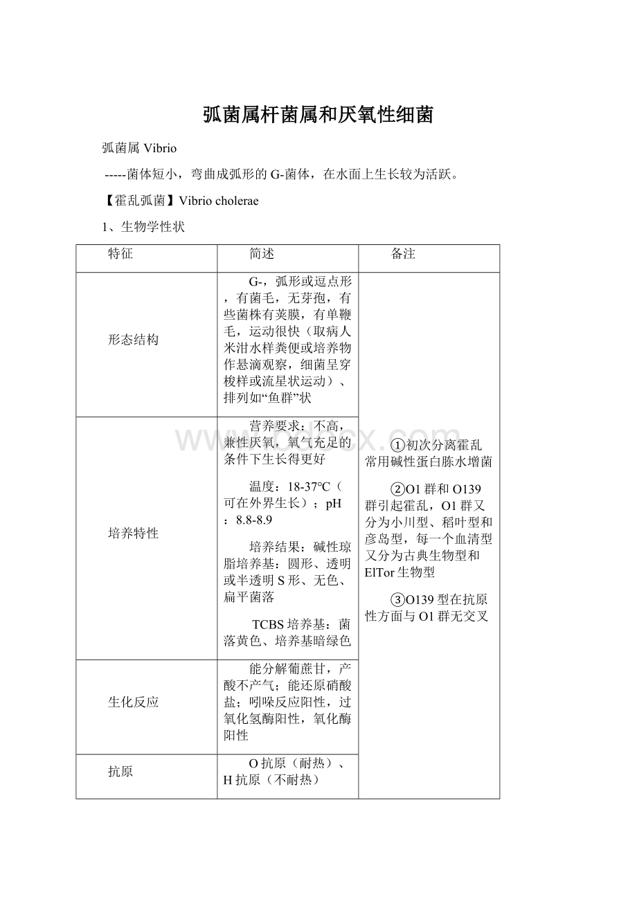 弧菌属杆菌属和厌氧性细菌.docx_第1页