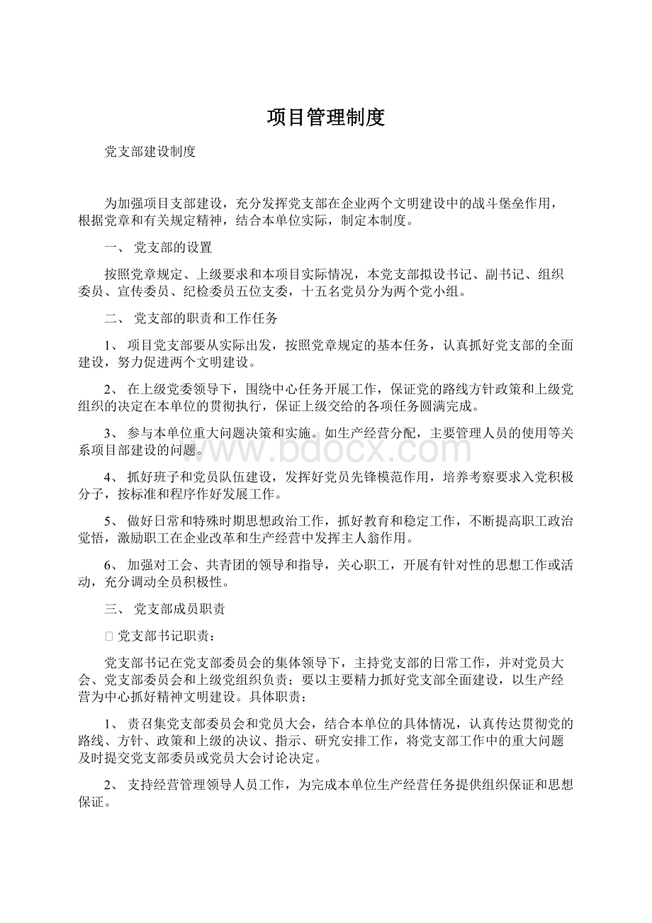 项目管理制度.docx