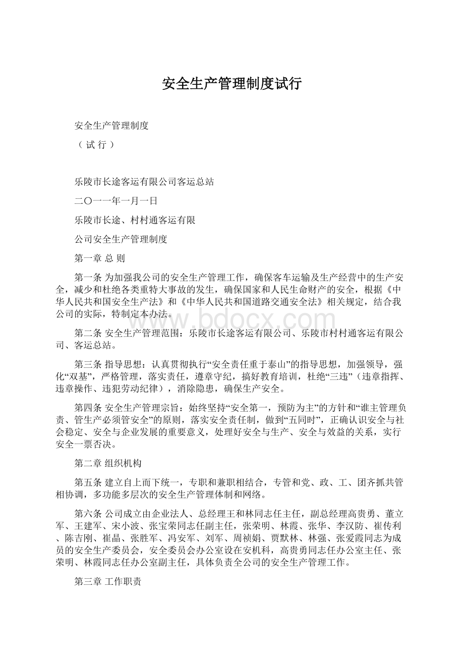 安全生产管理制度试行Word格式文档下载.docx