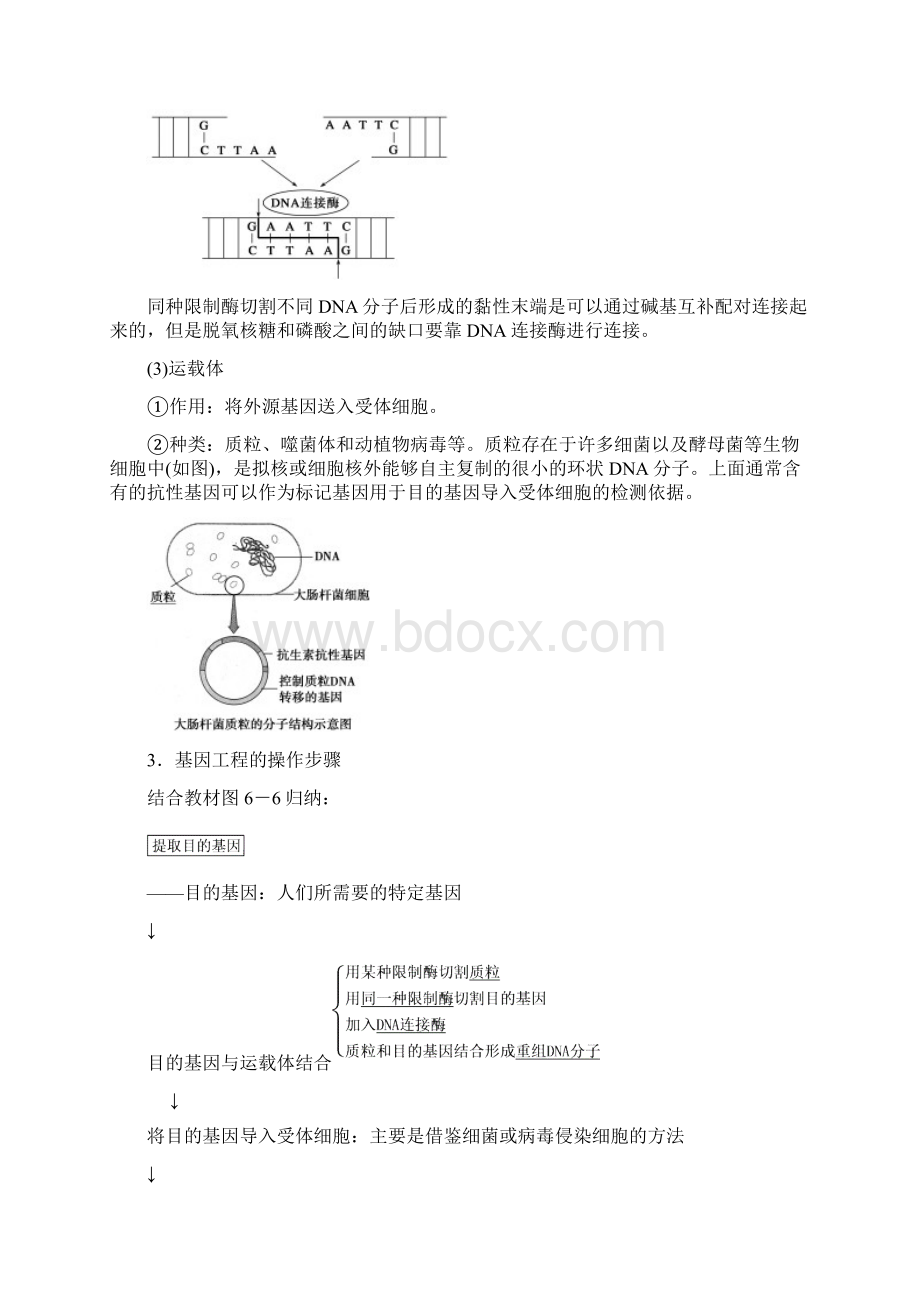 新版高中生物第六章第25课时基因工程及其应用课时作业新人教版必修2.docx_第3页
