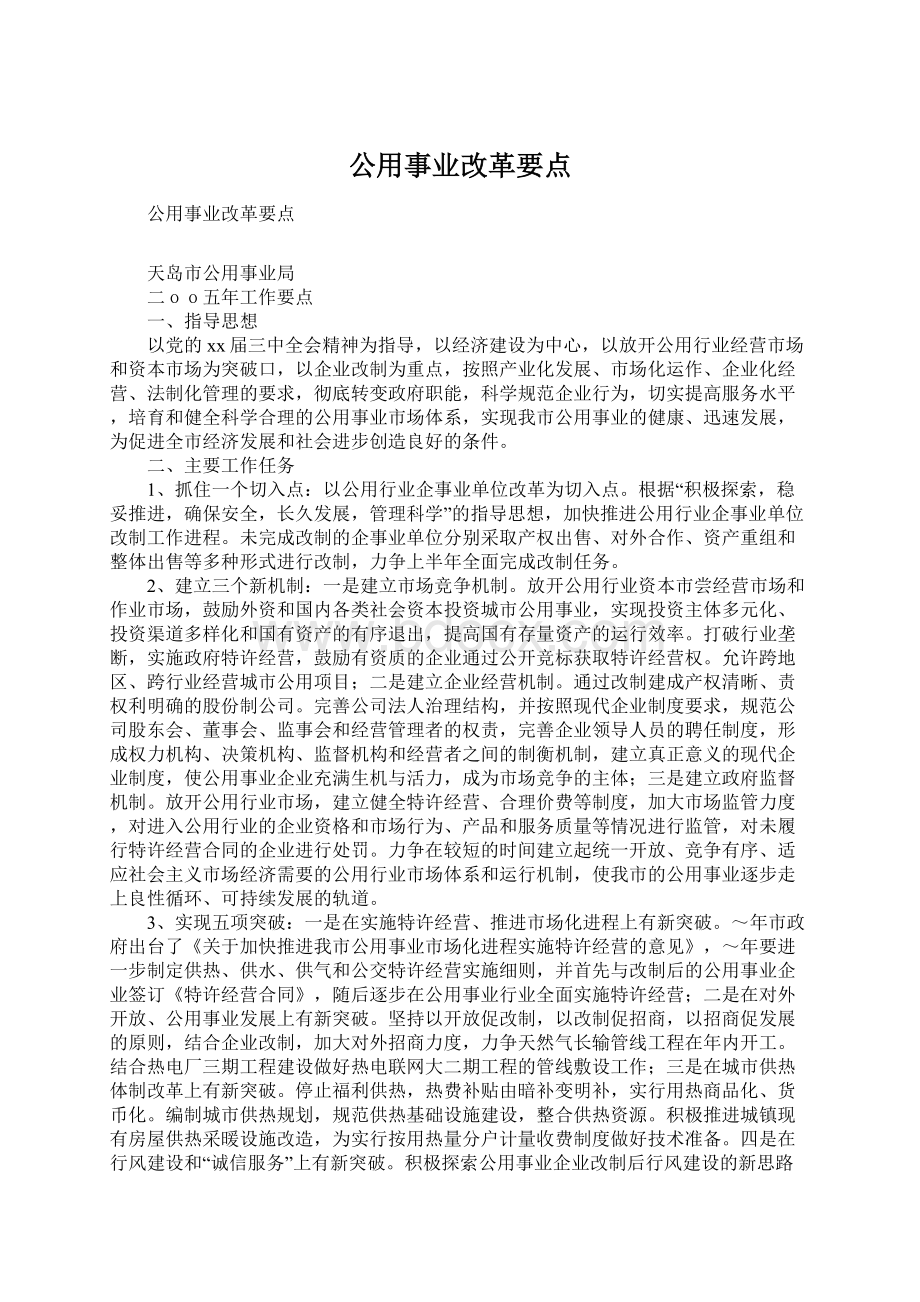 公用事业改革要点Word格式文档下载.docx