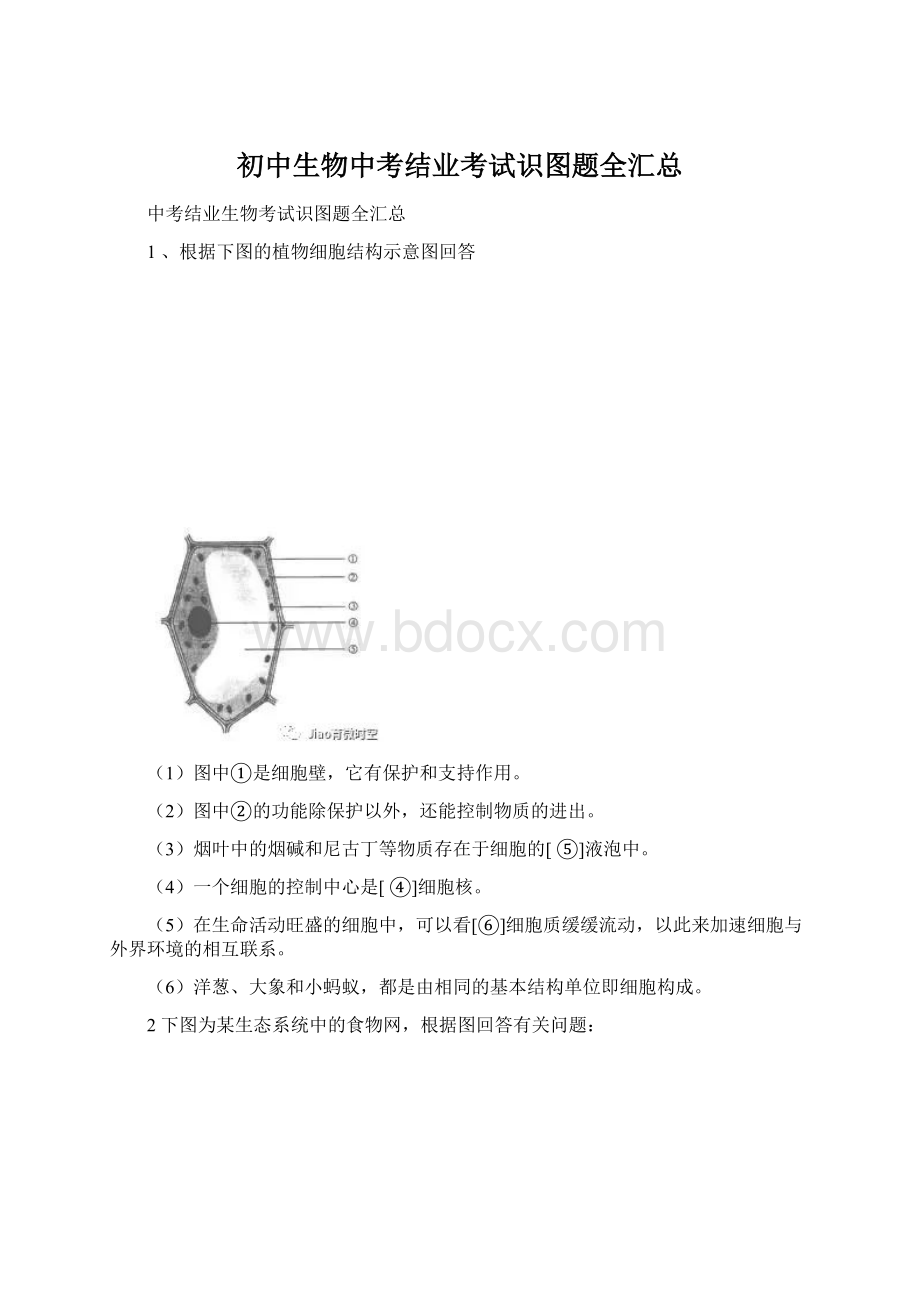 初中生物中考结业考试识图题全汇总Word格式.docx