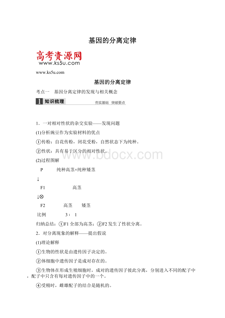 基因的分离定律Word格式文档下载.docx_第1页