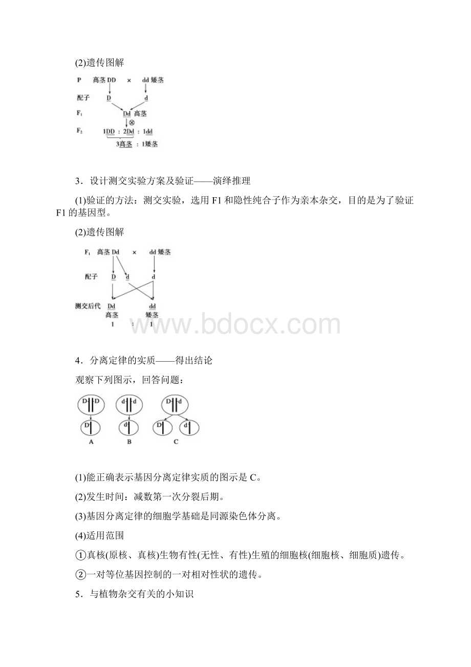 基因的分离定律Word格式文档下载.docx_第2页