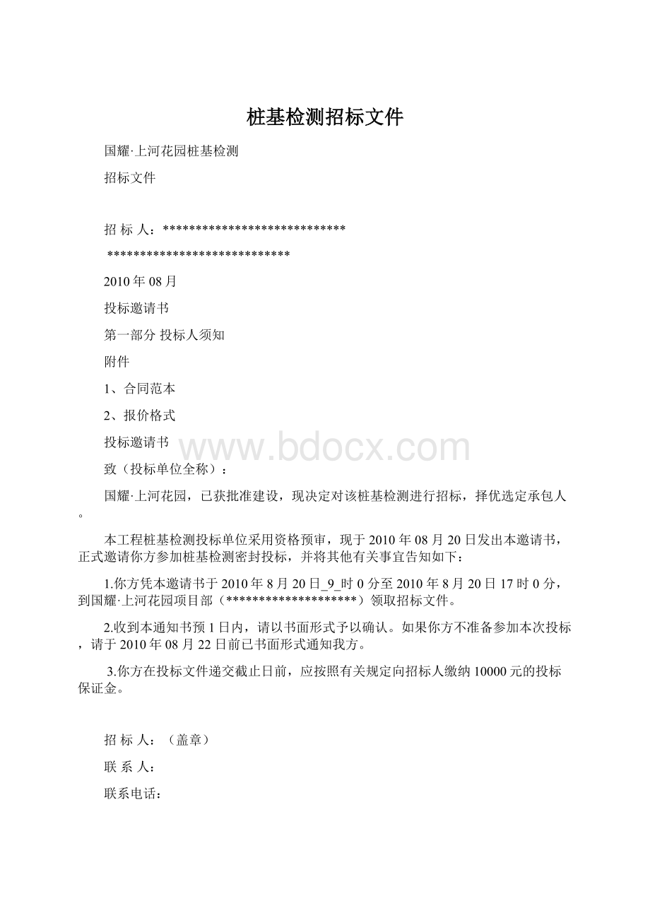 桩基检测招标文件.docx