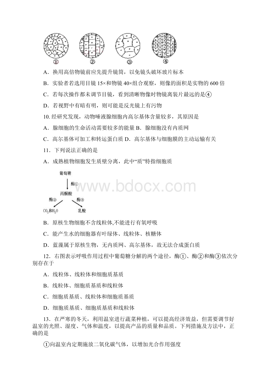 福建师大附中学年高二生物上学期期末考试试题.docx_第3页