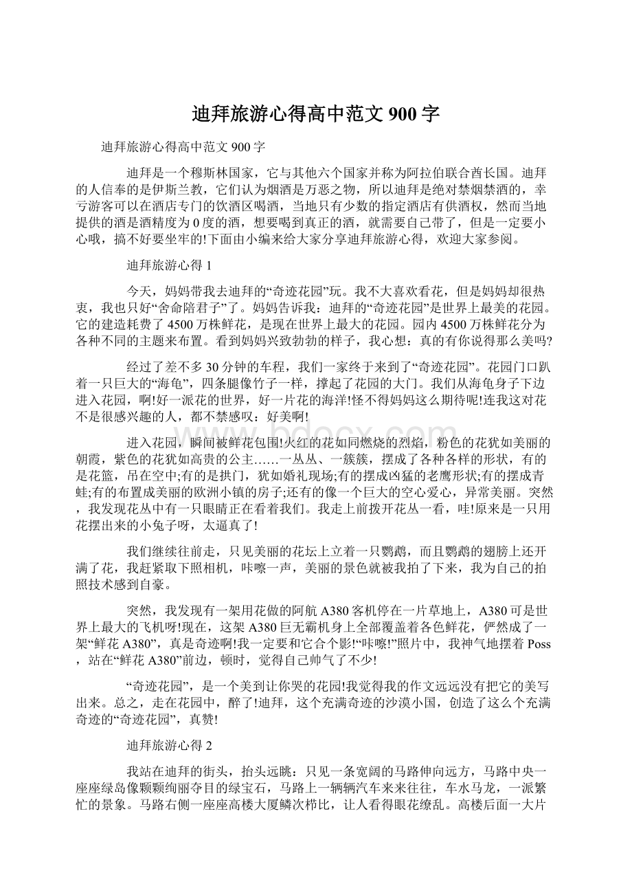 迪拜旅游心得高中范文900字Word格式.docx