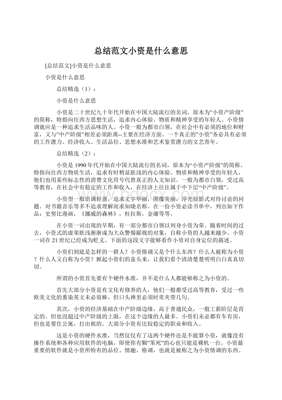 总结范文小资是什么意思Word格式文档下载.docx