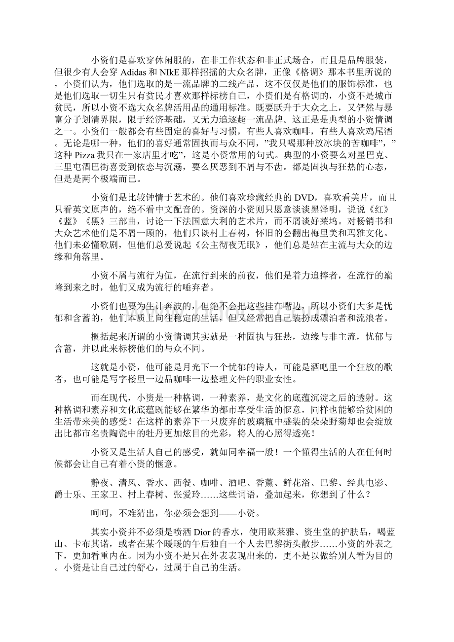 总结范文小资是什么意思Word格式文档下载.docx_第2页